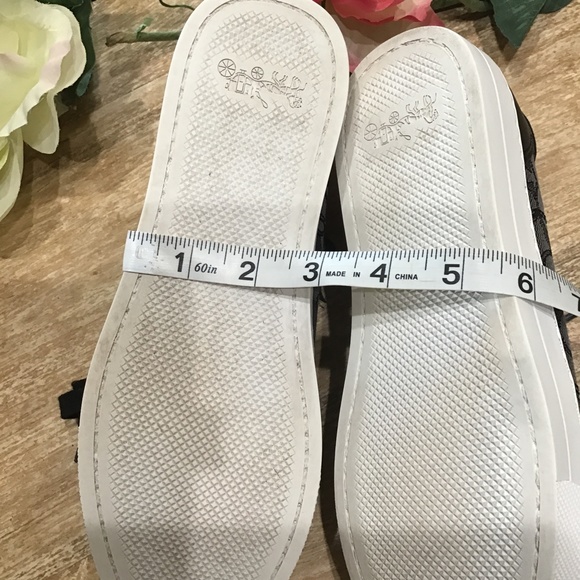 Coach- Paddy Signa. Logo Sneakers - Picture 11 of 14